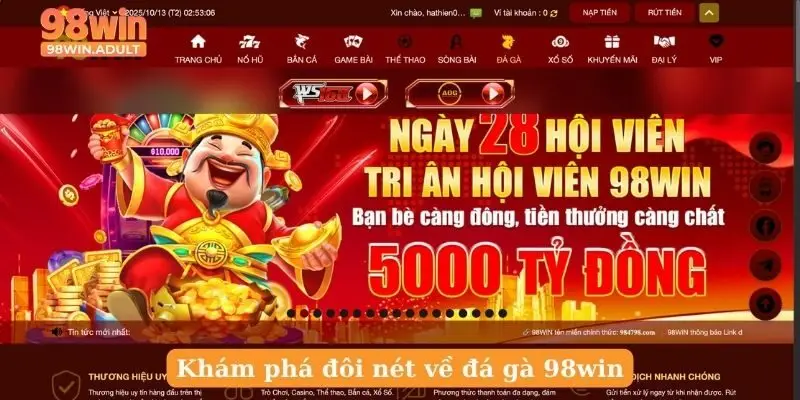 Khám phá đôi nét về đá gà 98win